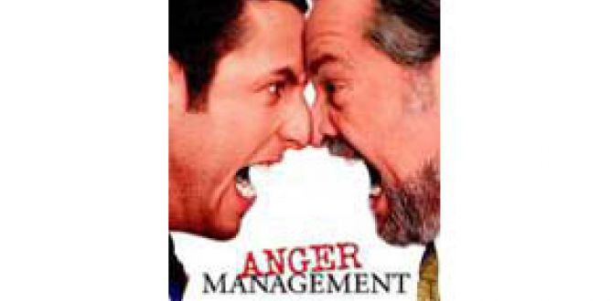 Anger Management parents guide