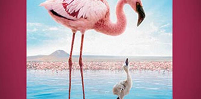 Crimson Wing: Mystery of the Flamingos parents guide