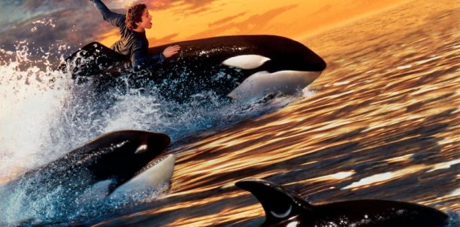 Free Willy 2: The Adventure Home parents guide