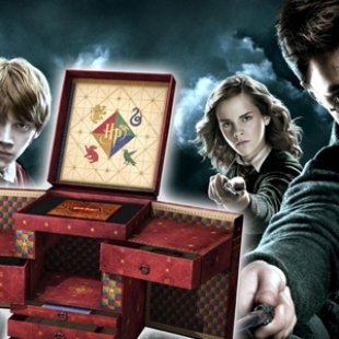 The Harry Potter Wizard Collection