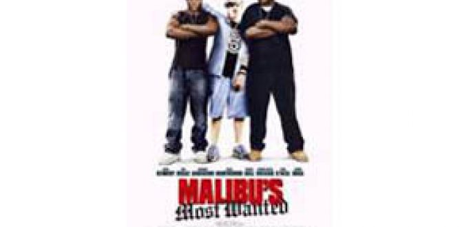 Malibu’s Most Wanted (2003) parents guide