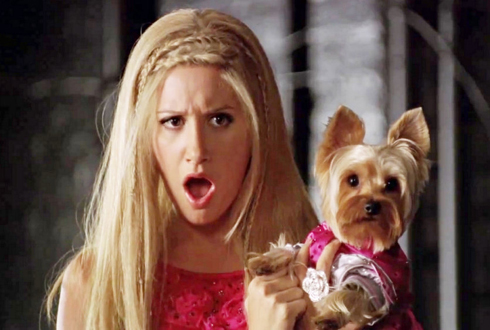  Musical franchise Ashley Tisdale reprises the role as Sharpay Evans