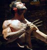 The Wolverine