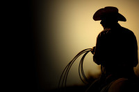 The Last Rodeo