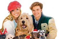 12 Dogs of Christmas: Great Puppy Rescue 12 Dogs of Christmas: Great Puppy Rescue