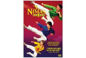 3 Ninjas Kick Back parents guide
