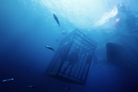 47 Meters Down 47 Meters Down
