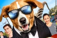 Agent Toby Barks