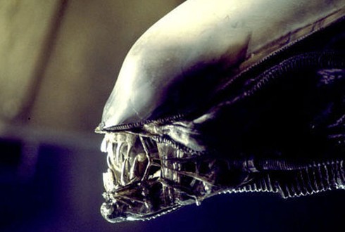 Alien Anthology parents guide