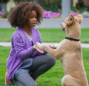 Annie (2014)