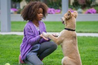 Annie (2014) Annie (2014)