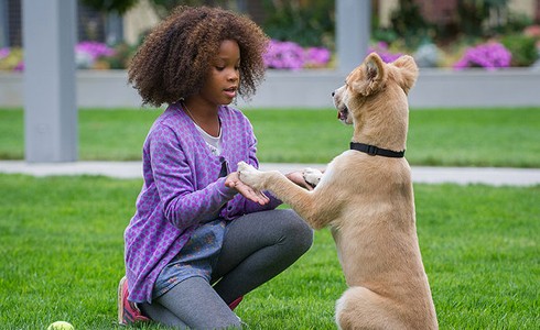 Annie (2014) parents guide