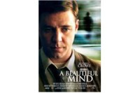 A Beautiful Mind