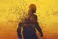 The Beekeeper The Beekeeper
