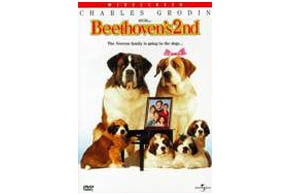 Beethoven’s 2nd parents guide