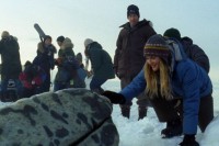 Big Miracle