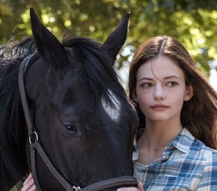 Black Beauty