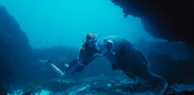 Blueback parents guide