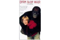 Born To Be Wild