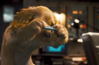 Cats and Dogs - Revenge of Kitty Galore