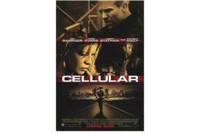 Cellular