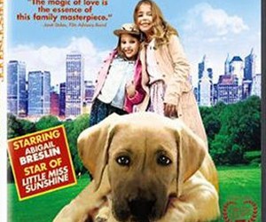 Chestnut parents guide