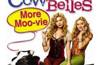 Cow Belles Cow Belles