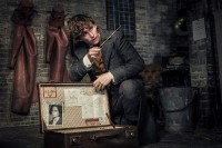 Fantastic Beasts: The Crimes of Grindelwald Fantastic Beasts: The Crimes of Grindelwald