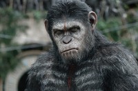 Dawn of the Planet of the Apes Dawn of the Planet of the Apes