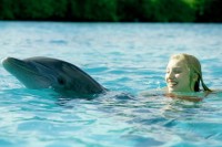 Dolphin Island Dolphin Island