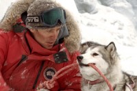 Eight Below Eight Below
