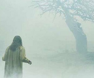 Exorcism of Emily Rose parents guide