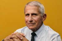 Fauci Fauci