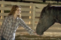 Flicka