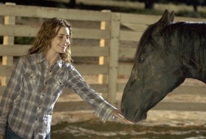 Flicka parents guide
