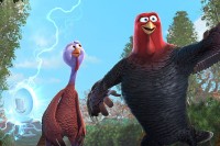 Free Birds Free Birds