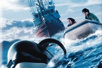 Free Willy 3: The Rescue
