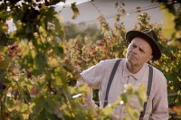 From the Vine From the Vine