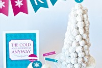 Still Not Too Cold For More Frozen Fun?