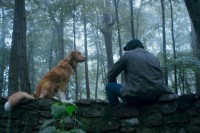 Good Boy (2025) Good Boy (2025)
