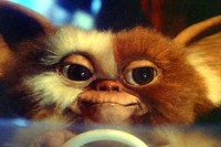 Gremlins