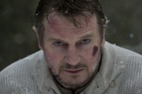 The Grey