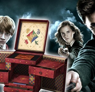 The Harry Potter Wizard Collection