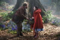 Into the Woods Into the Woods