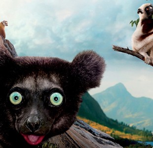 Island of Lemurs: Madagascar
