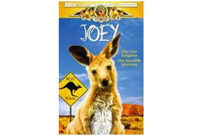 Joey parents guide