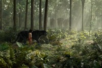 The Jungle Book (2016) The Jungle Book (2016)
