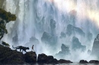 Disney Releases Upcoming Movie Dates for the Next 2 Years