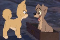 Lady And The Tramp 2: Scamp’s Adventure