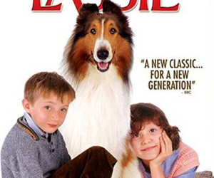 Lassie (2006) parents guide